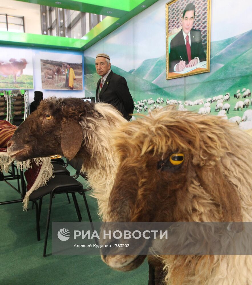 Выставка, экономических достижений Туркменистана