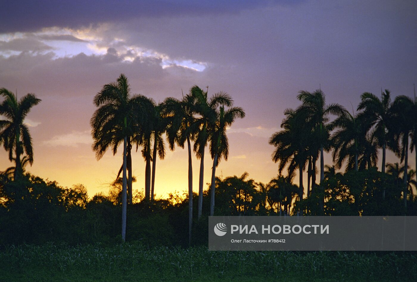 Равнинная часть острова Куба