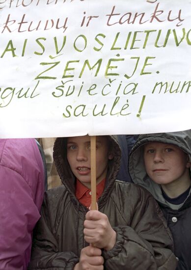 Митинг протеста в Вильнюсе