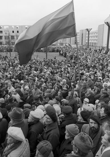 Участники митинга в Вильнюсе