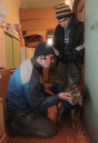 Приют для собак "В добрые руки" в Московской области