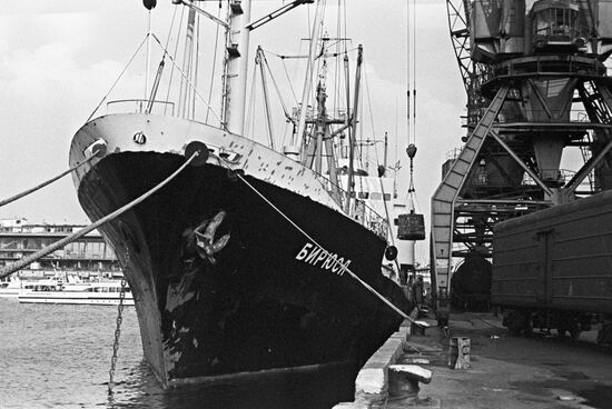 Теплоход "Бирюса"