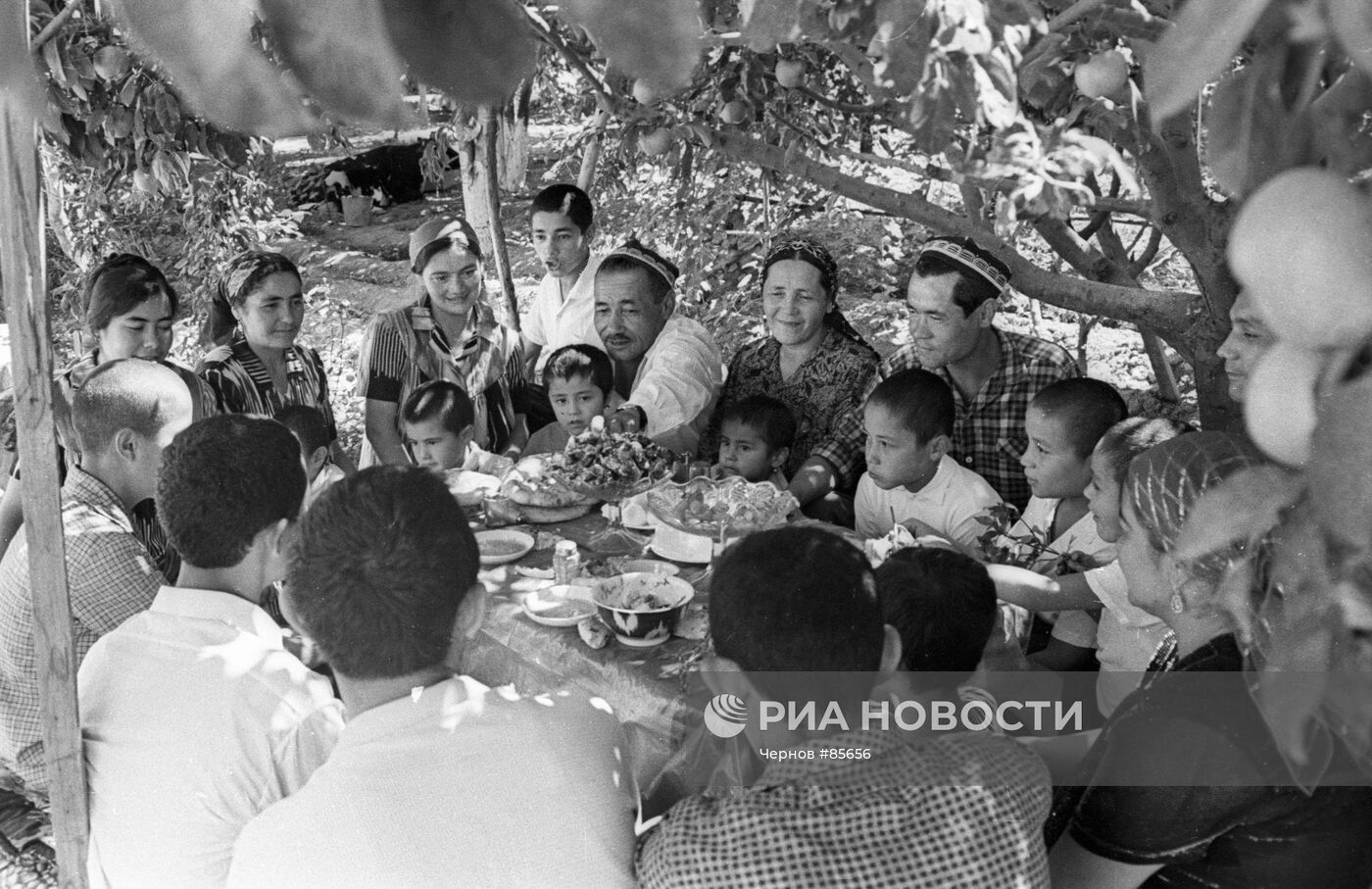 СЕМЬЯ ОБЕД САД