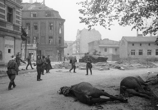 Великая Отечественная война 1941-1945 гг.