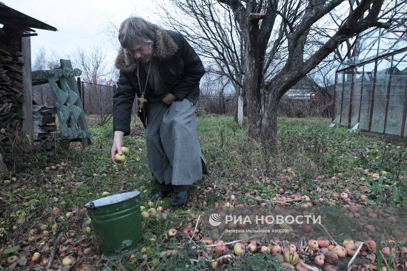 Отец Роман собирает яблоки в саду своего дома