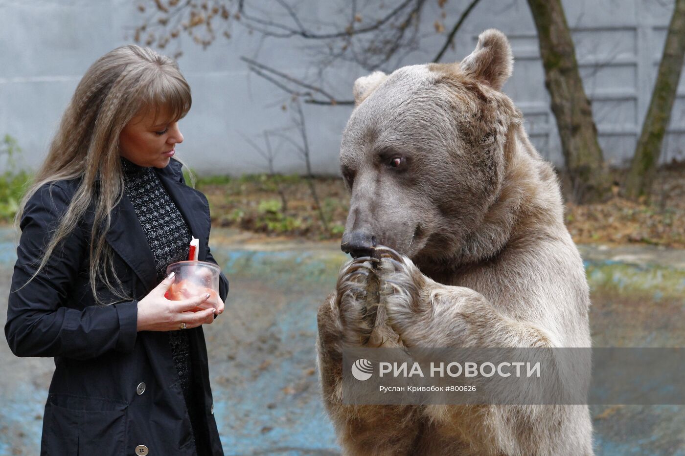 Медведь Степан в питомнике 