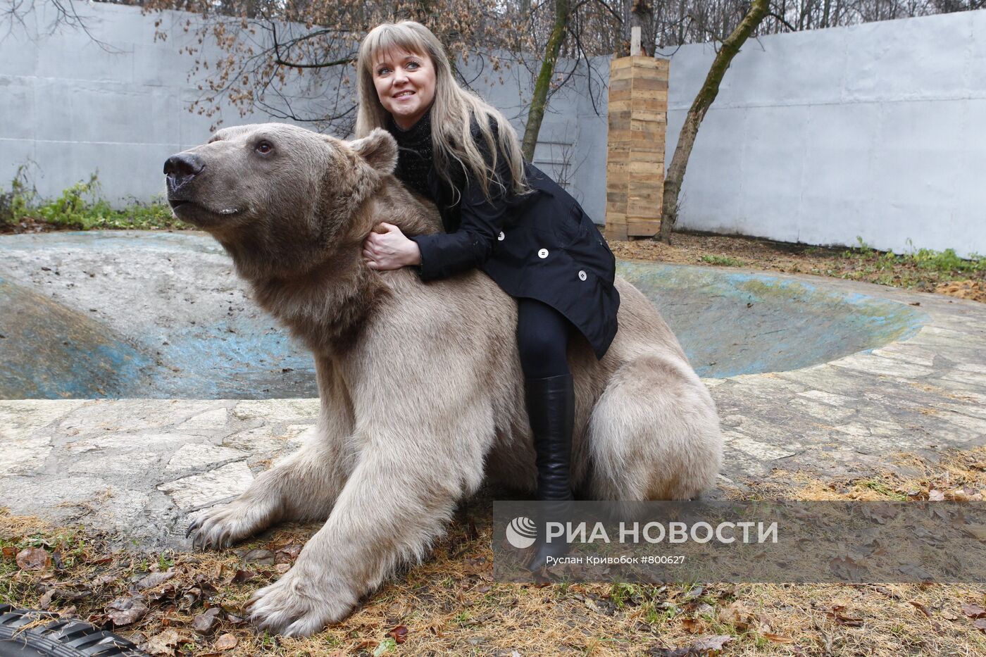 Медведь Степан в питомнике 