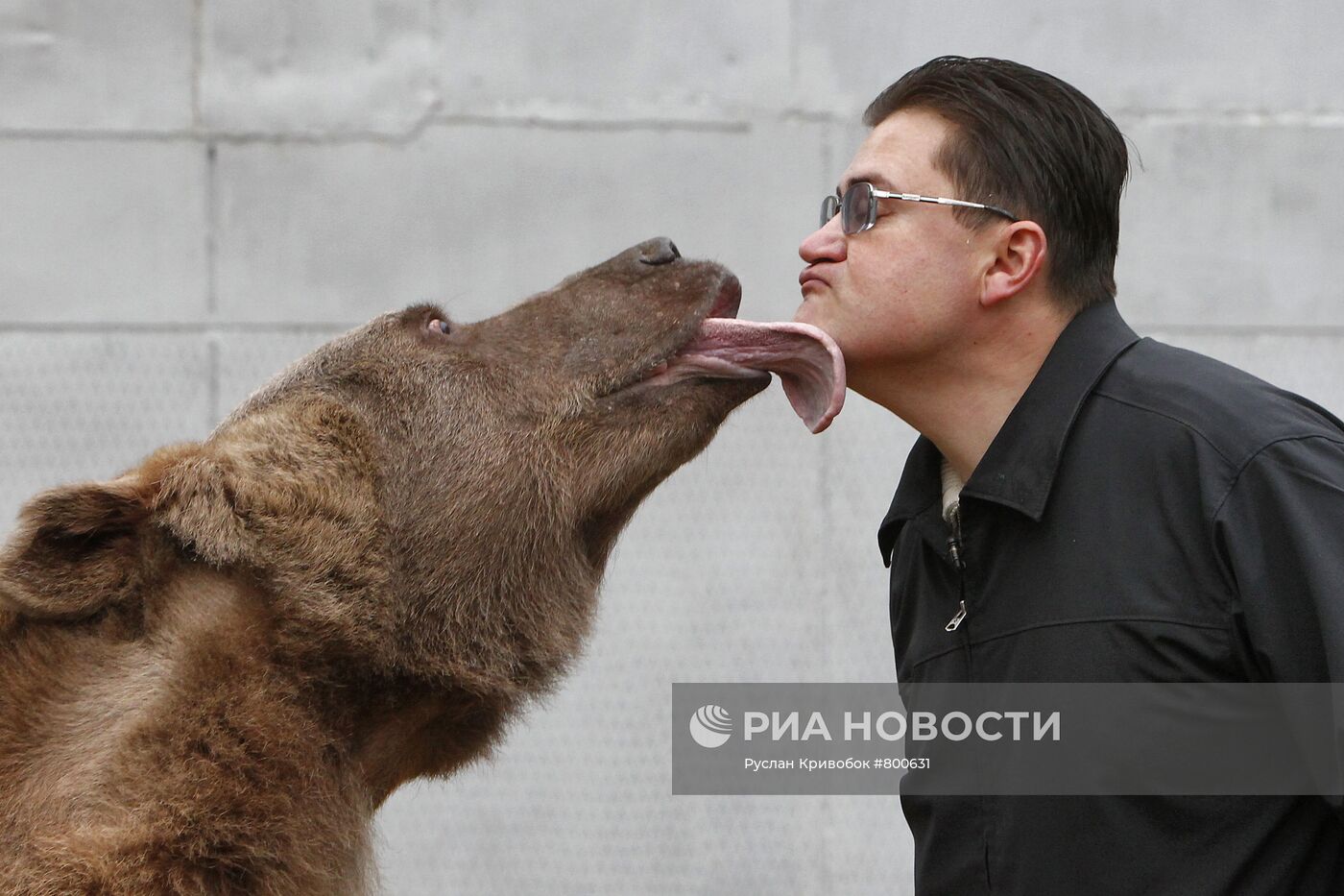 Медведь Степан в питомнике 