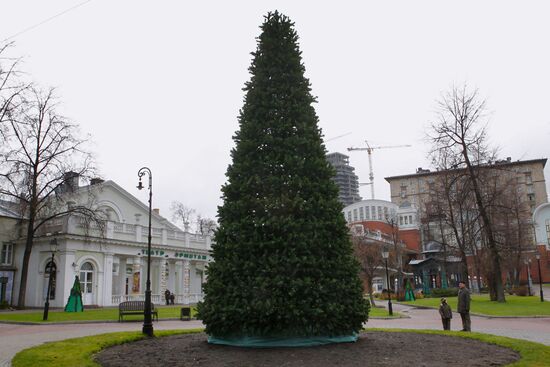 Новогодние елки появились на улицах Москвы