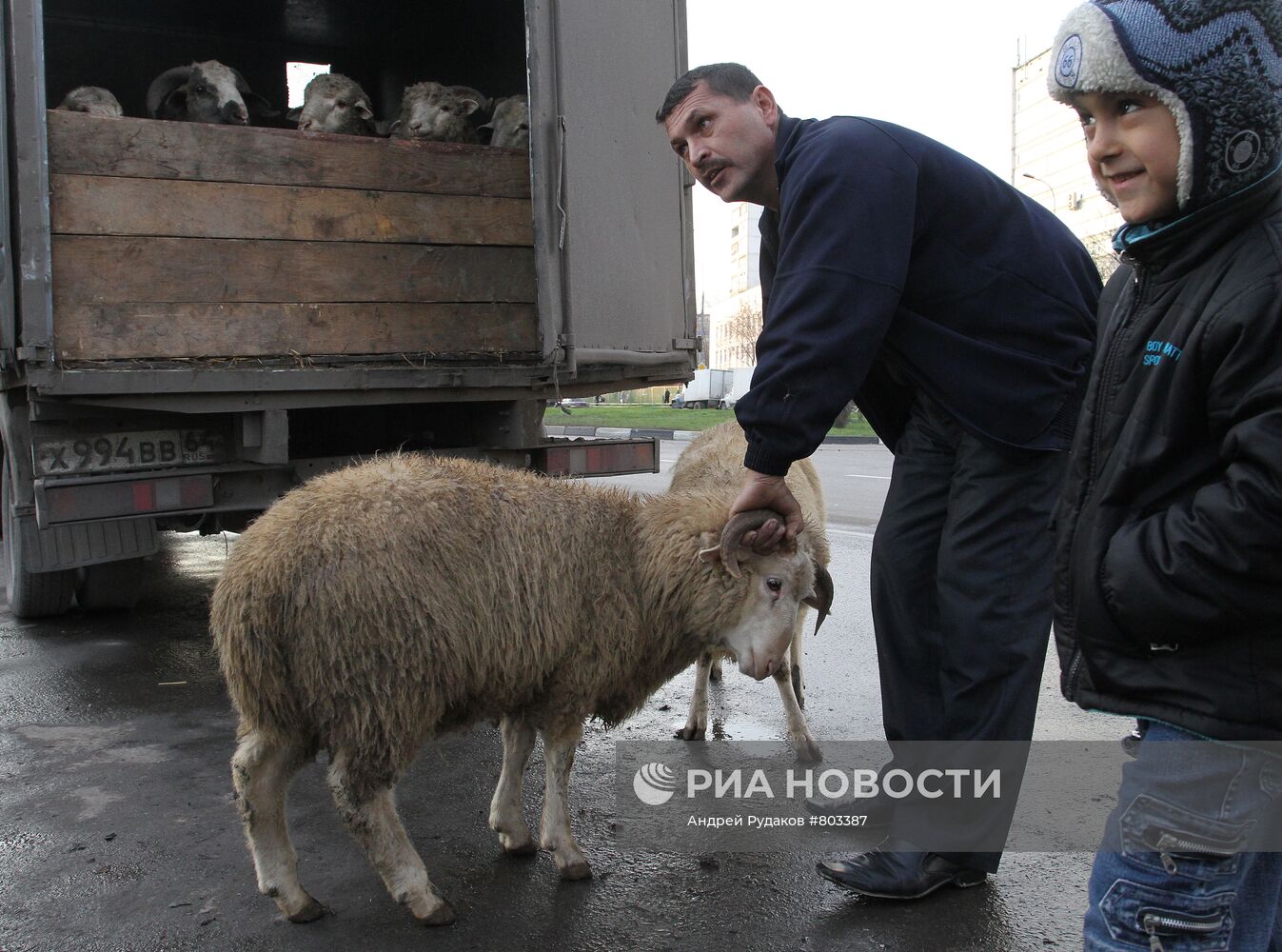 Торговля баранами в Москве