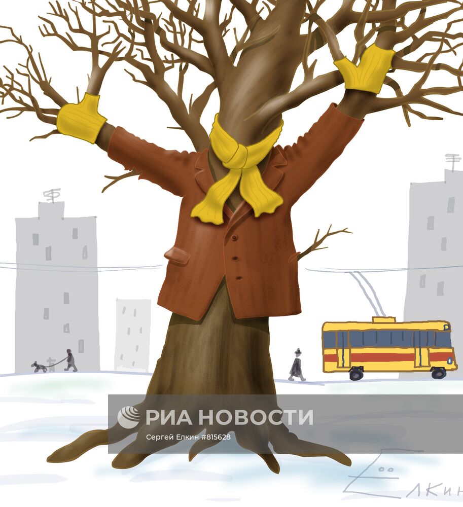 Деревья в Москве хорошо переносят наступившие морозы