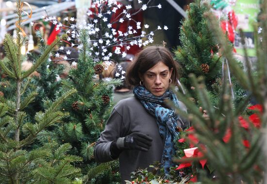 Жительница Барселоны выбирает елку на рождественской распродаже