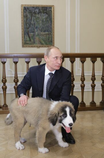 Путин познакомился с юным автором клички для своей новой собаки