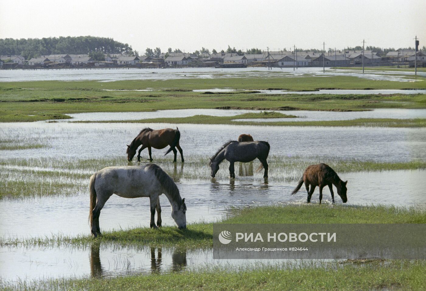 Колхоз имени Амангельды Целиноградской области Казахской ССР