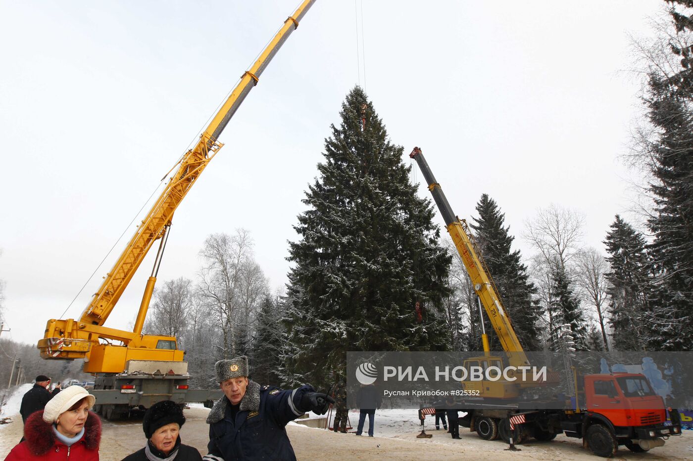 Рубка главной новогодней елки России