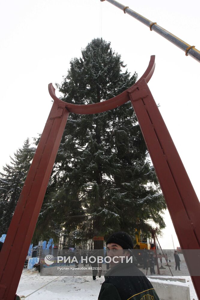 Сруб главной новогодней елки России
