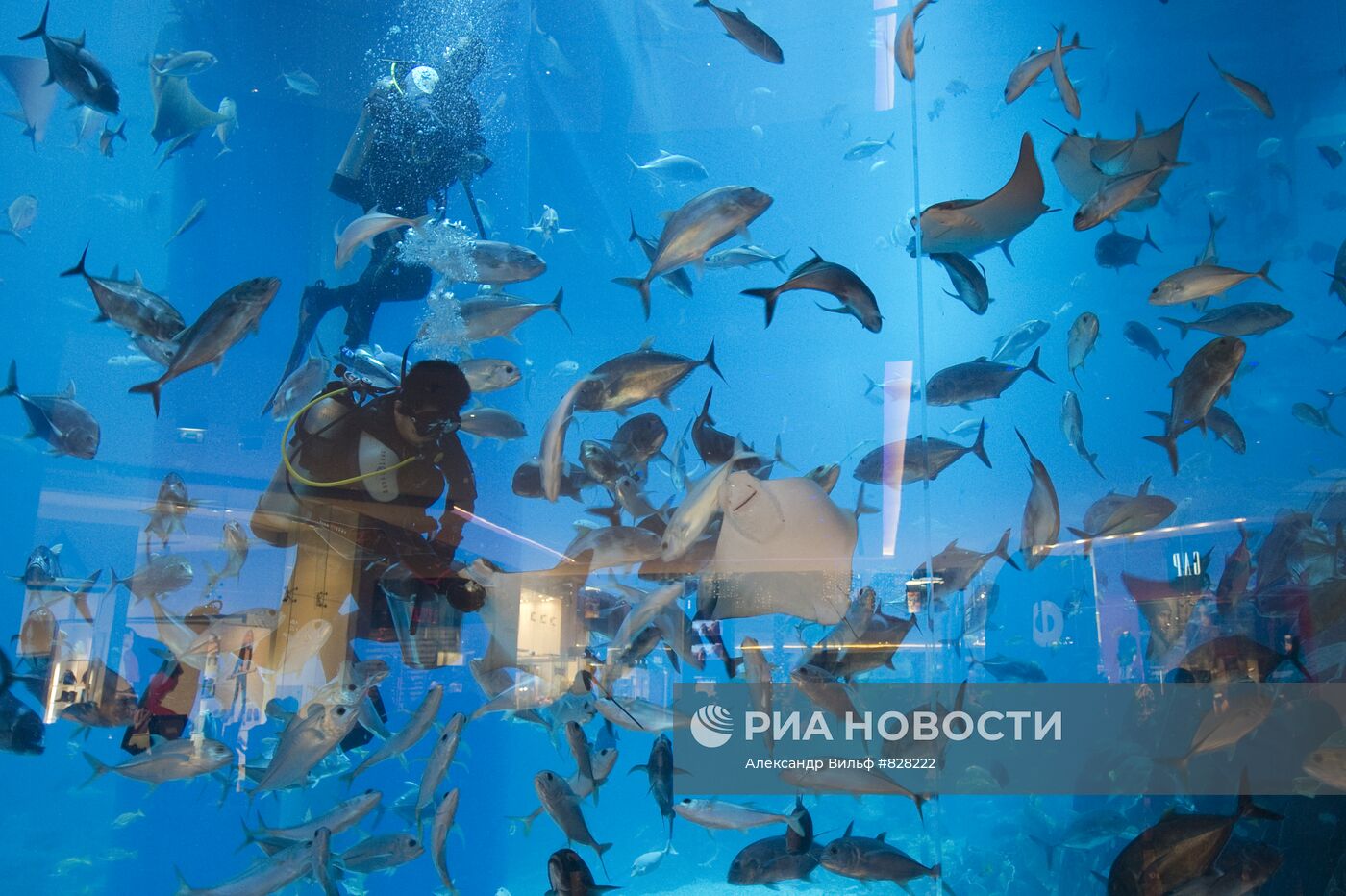 Города мира. Дубай