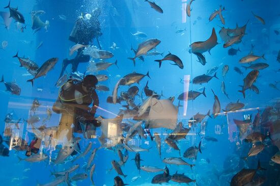 Города мира. Дубай