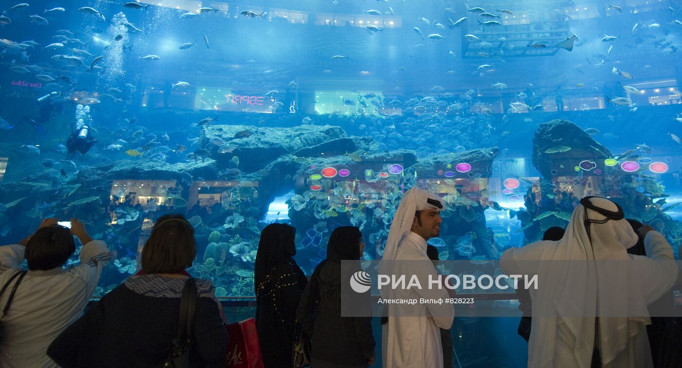 Аквариум в "Дубай Сити Молл"