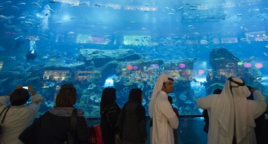 Аквариум в "Дубай Сити Молл"