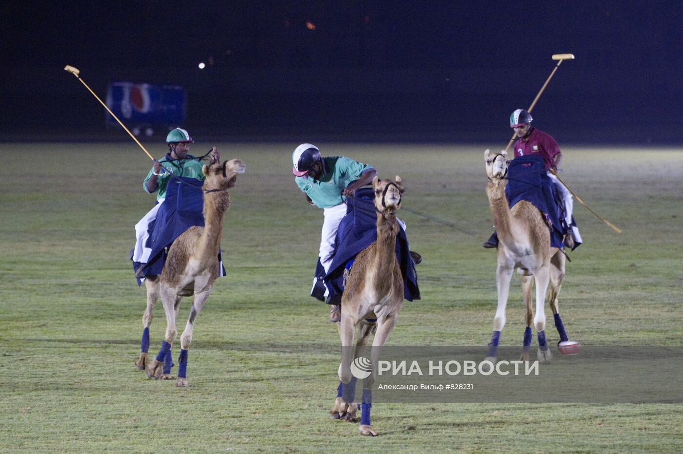 Поло на верблюдах
