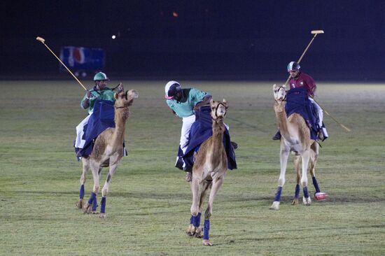 Поло на верблюдах