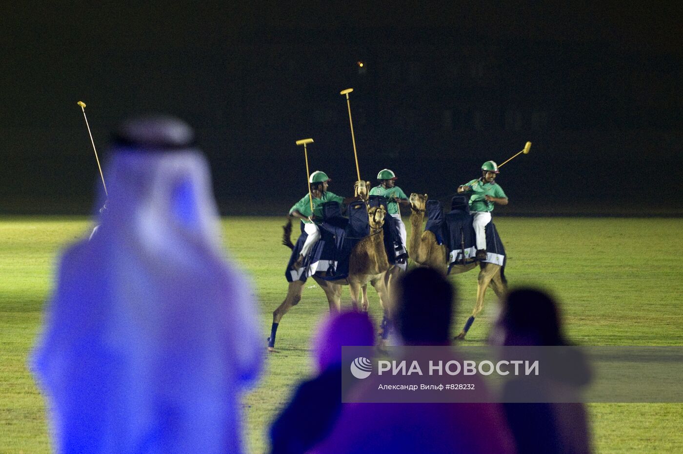 Поло на верблюдах