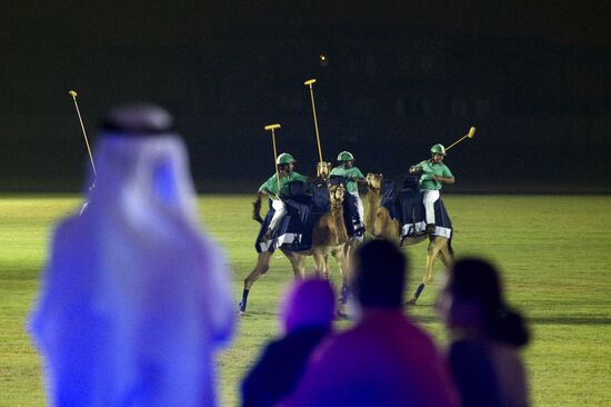 Поло на верблюдах