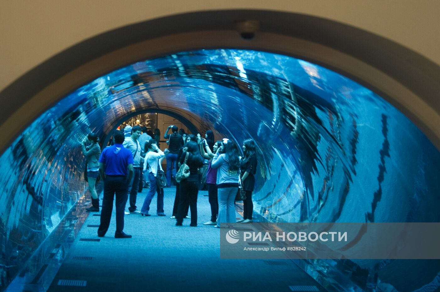 Города мира. Дубай