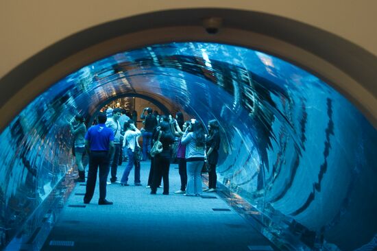 Города мира. Дубай