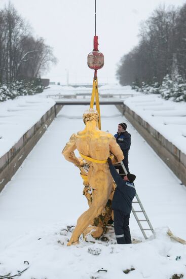 Демонтаж скульптуры "Самсон, разрывающий пасть льву" в Петергофе