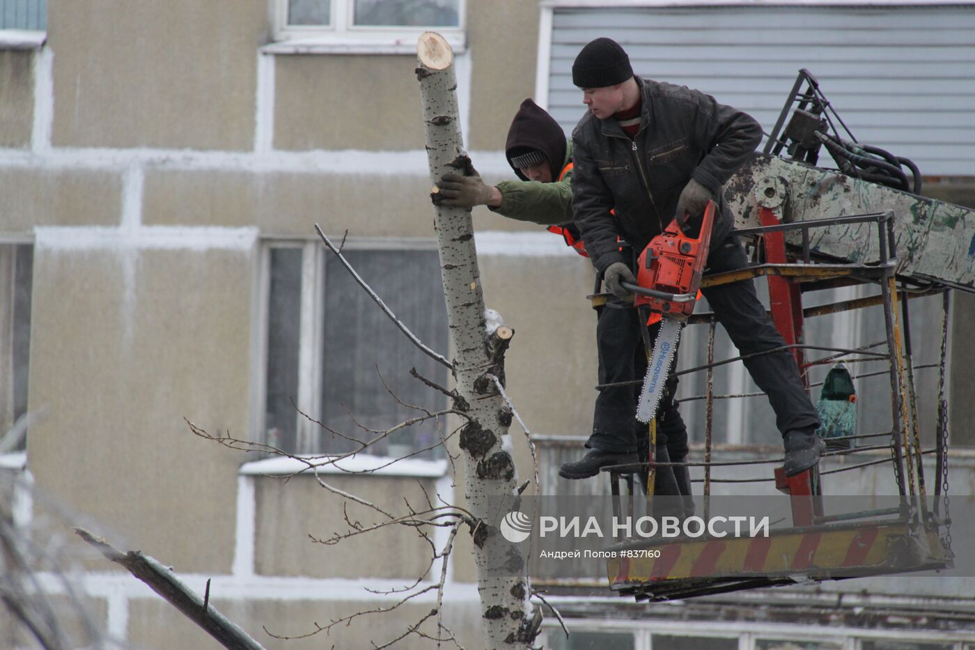 Обрезка обледеневших деревьев на улицах Москвы
