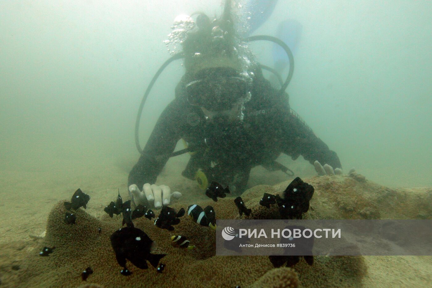 Залив Нячанг. Южно-Китайское море