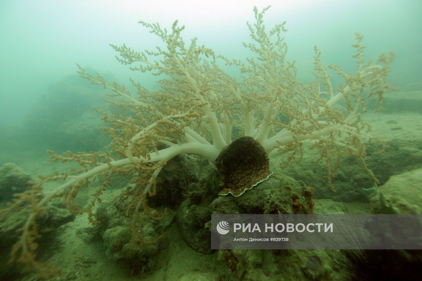 Залив Нячанг. Южно-Китайское море