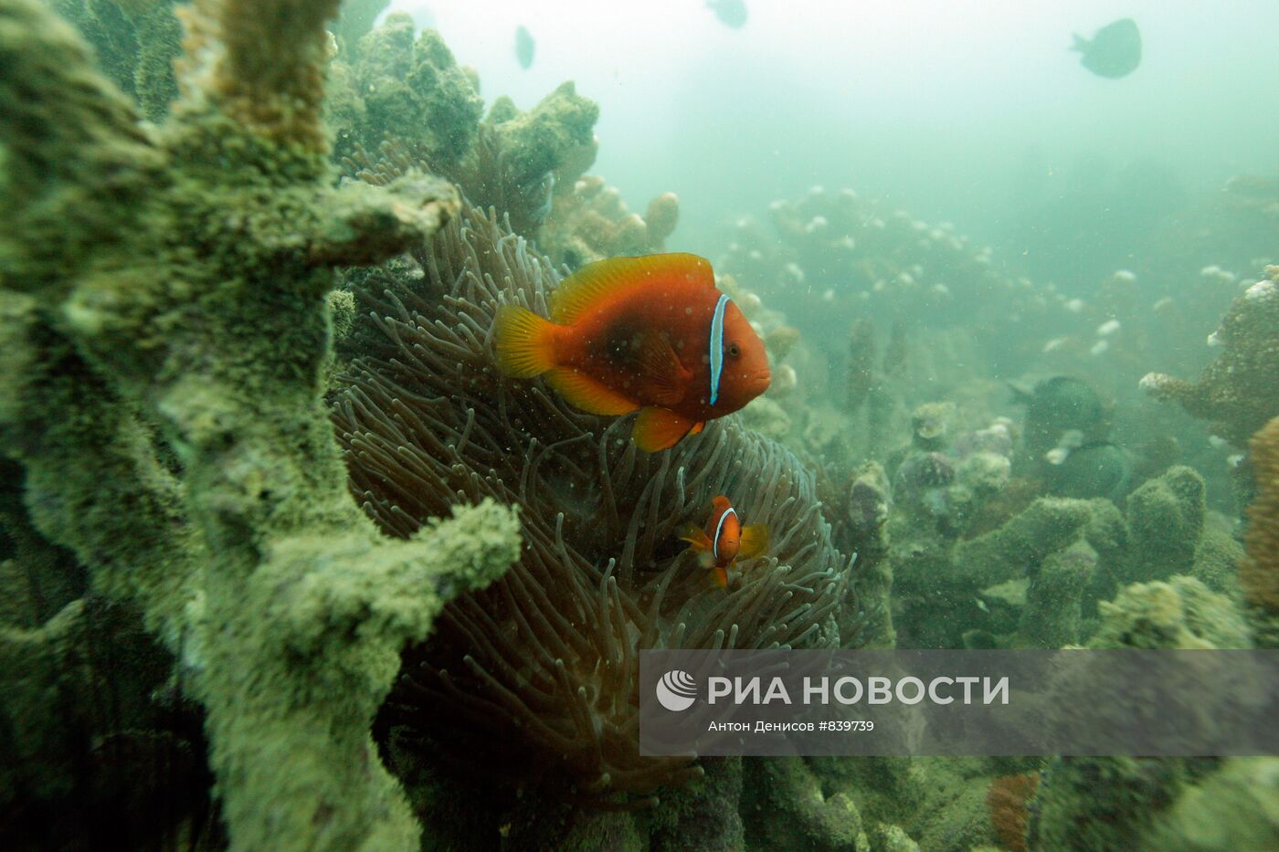 Залив Нячанг. Южно-Китайское море