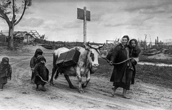 Великая Отечественная война 1941-1945 гг.