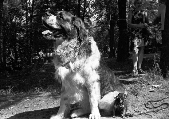 "Мотель" и "Мурка"