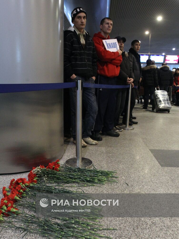 Живые цветы в зале прилета аэропорта "Домодедово"