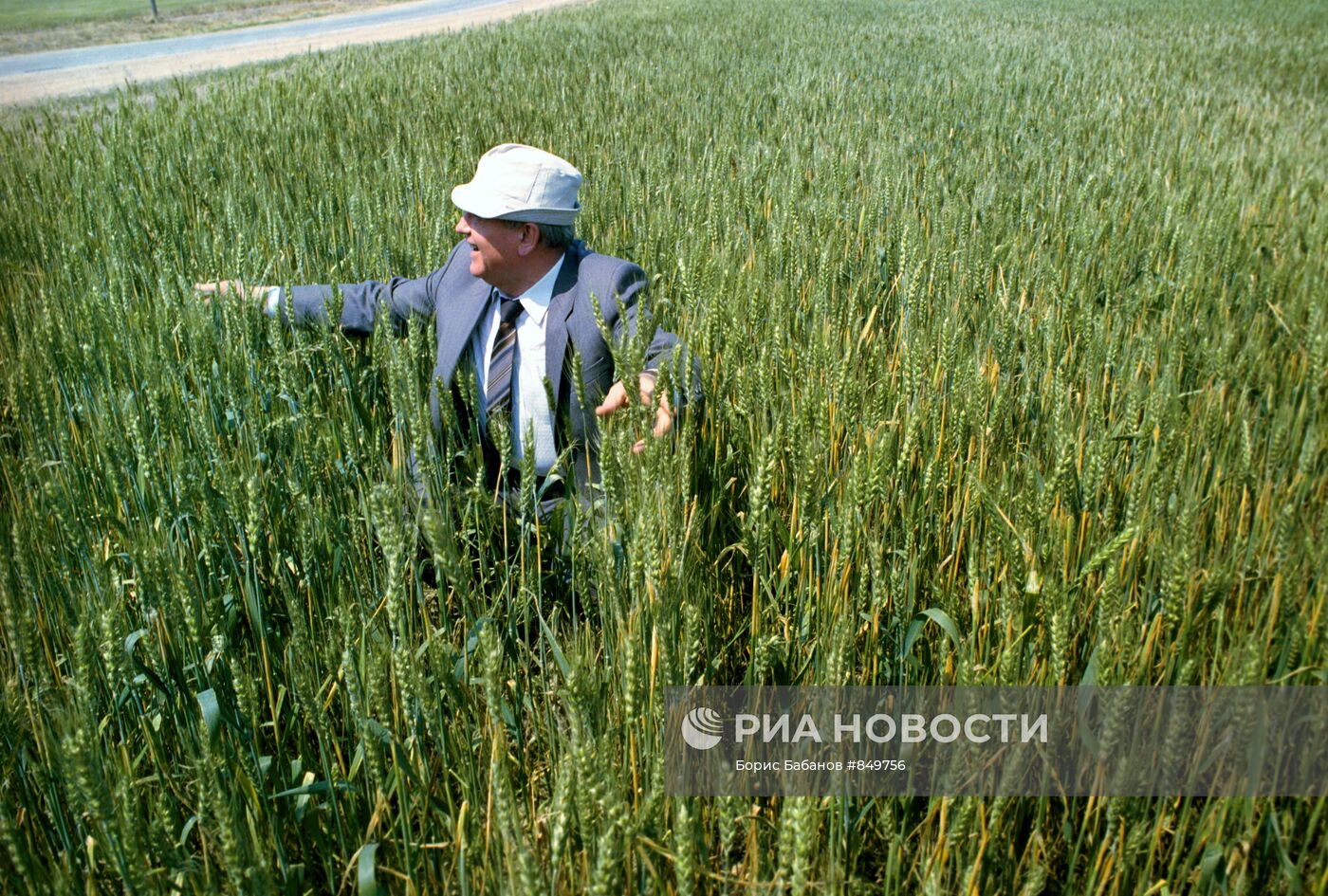 Михаил Горбачев на целине