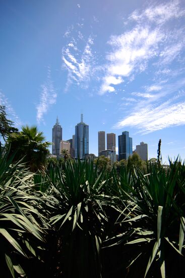 Вид на небоскребы Мельбурна