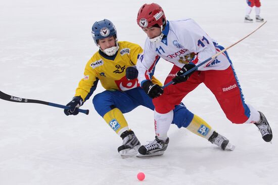 Хоккей с мячом. ЧМ-2011. Матч Россия - Швеция