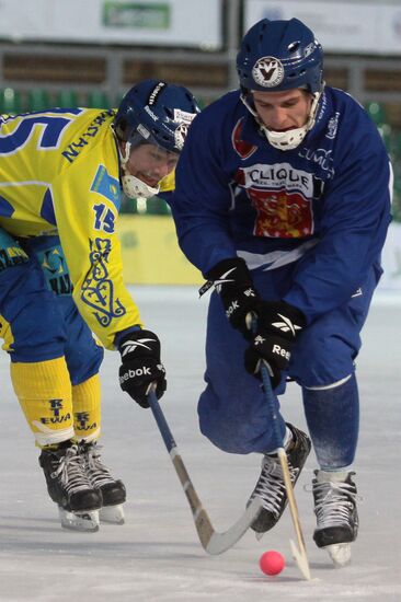 Хоккей с мячом. ЧМ-2011. Матч Финляндия - Казахстан