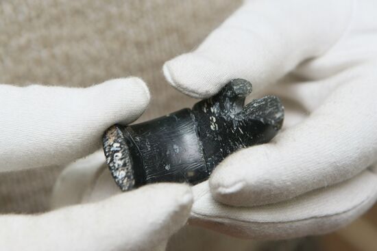 Археологи нашли на Алтае самое древнее женское украшение