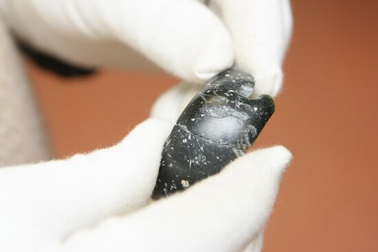 Археологи нашли на Алтае самое древнее женское украшение