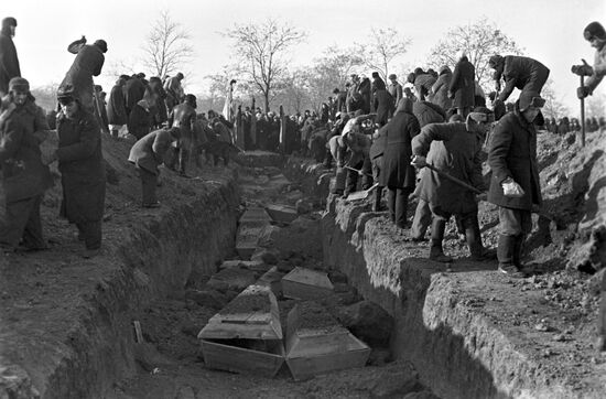 Великая Отечественная война 1941-1945 гг.