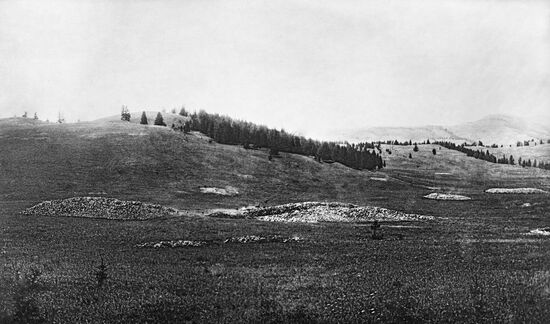 Общий вид курганного поля