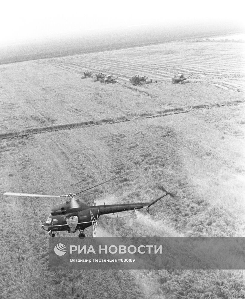 Химическая сушка риса