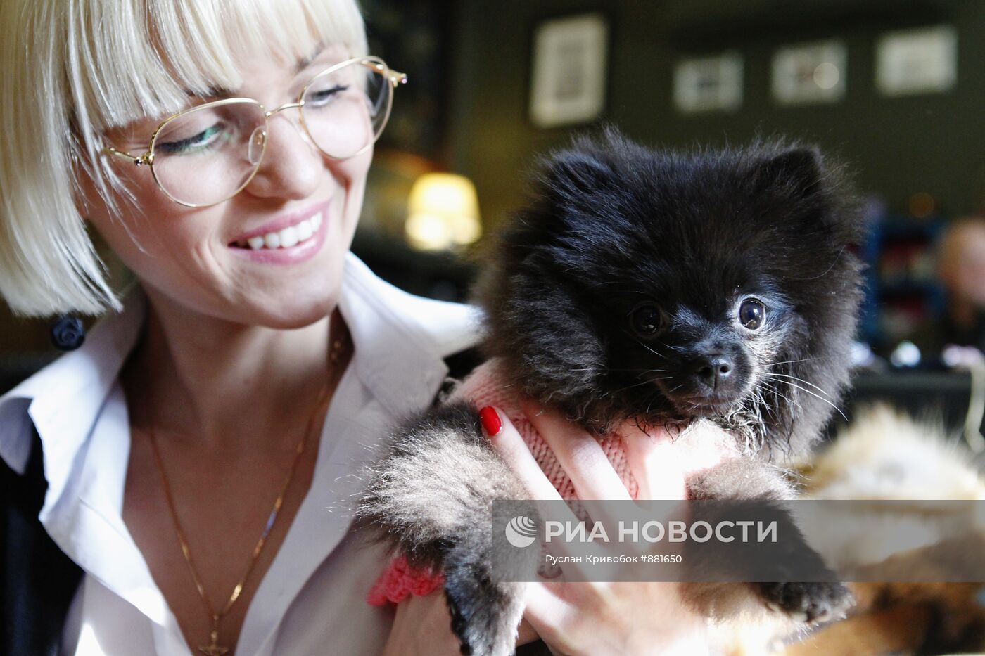 Работа груминг салона для собак в Москве