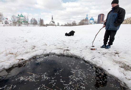Гибель рыбы в пруду парка Городов - Героев в Санкт-Петербурге