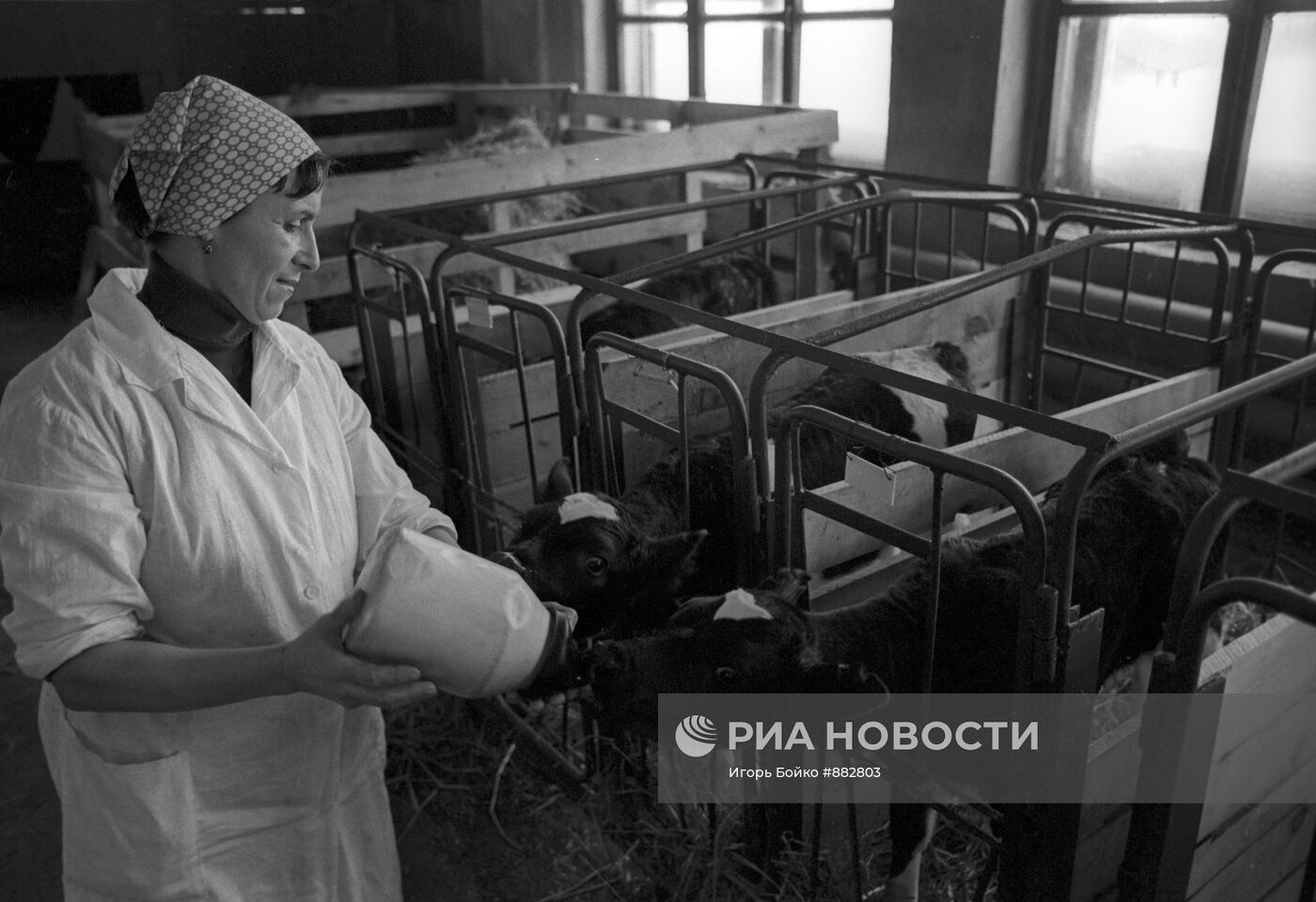 Зоя Георгиевна Загороднева